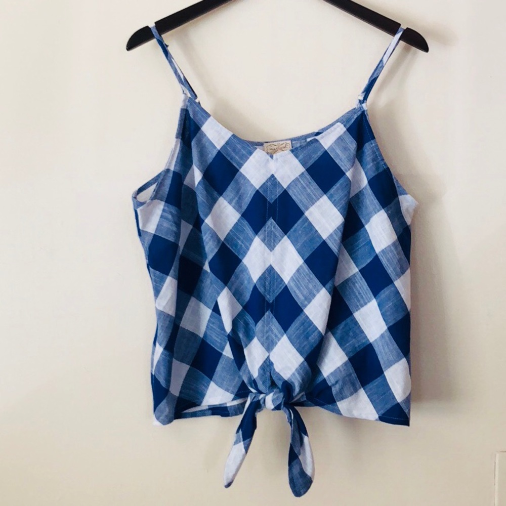 Eyelash Couture blue & white checkered blouse